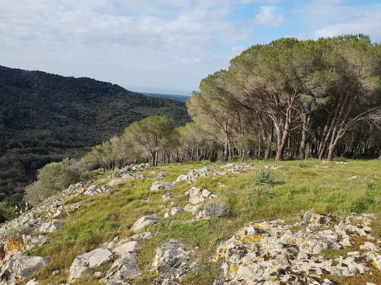 Sardinia_House_Dahmen 33