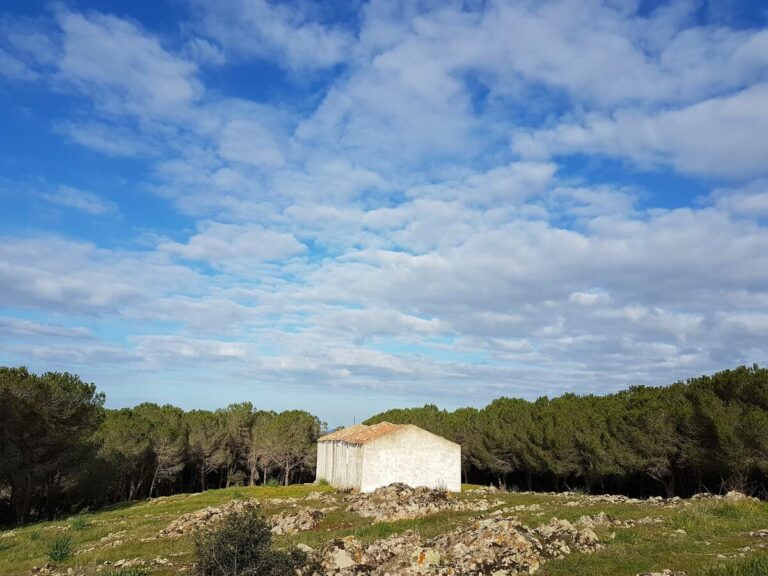 Sardinia_House_Dahmen 53